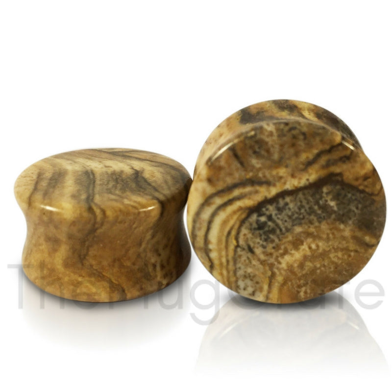 Picture Jasper Stone Premium Organic Plugs